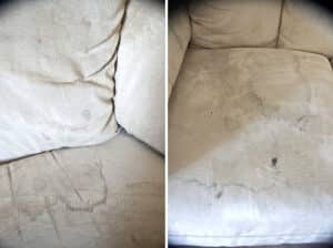 Cách giặt sofa da lộn tại nhà