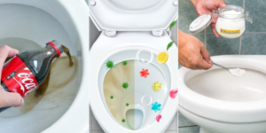 Làm Sạch Bồn Cầu Trong Công Tác Vệ Sinh Toilet